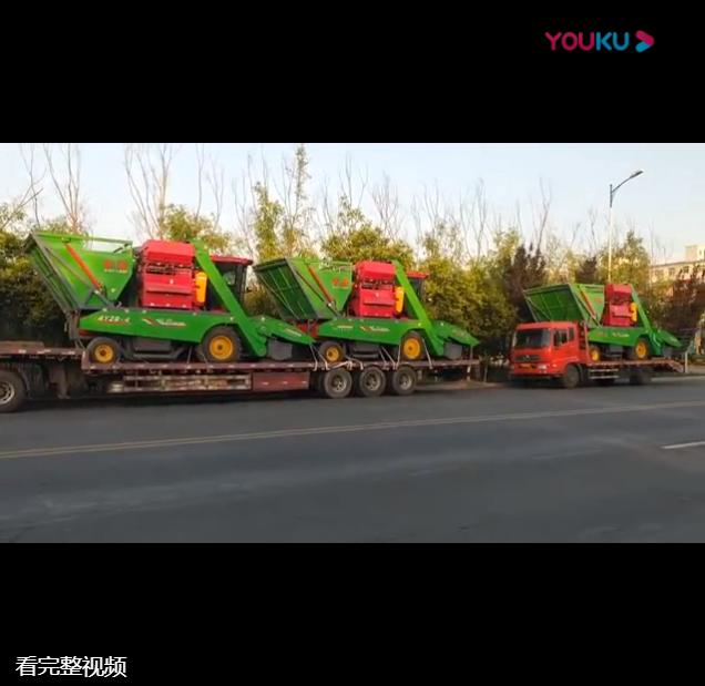 山東五(wu)車(che)連髮(fa)視頻