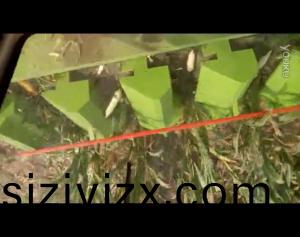 視(shi)頻(pin)展(zhan)示