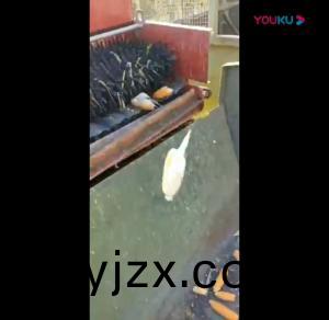 視(shi)頻(pin)展(zhan)示